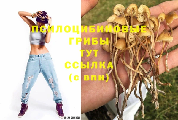 меф Армянск