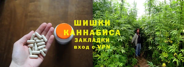 винт Аркадак