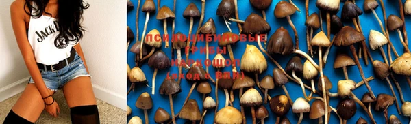 винт Аркадак