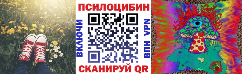 цена   Бабаево  Галлюциногенные грибы Psilocybine cubensis 