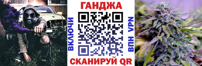 Каннабис сатива  Бабаево 
